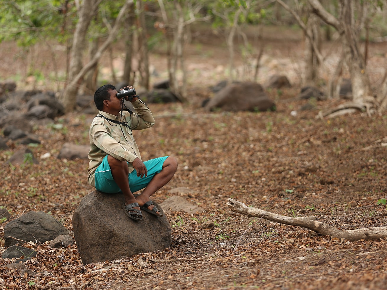 This self-taught birder can identify all 260 bird species that inhabit the forests around him. 