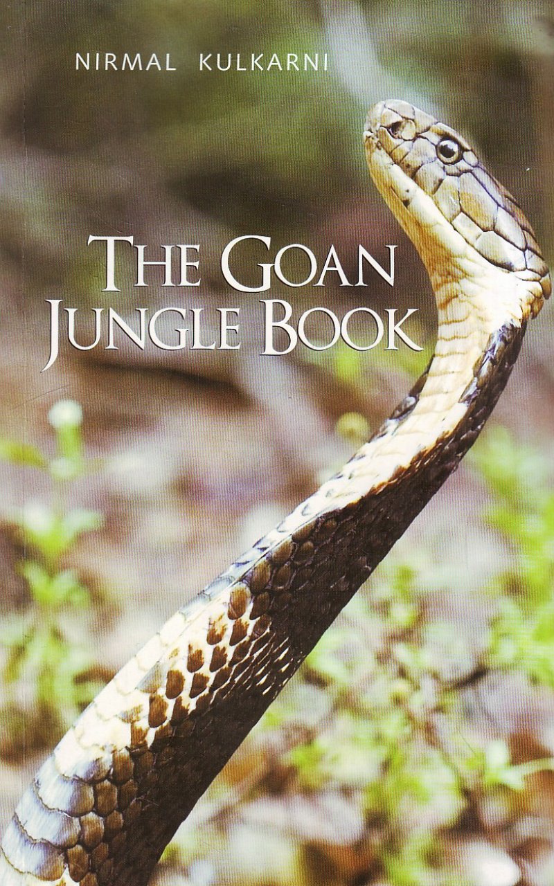 Published in 2013, Nirmal’s book The Goan Jungle Book offers a glimpse into the teeming jungles of the state that he calls home. Photo courtesy: Nirmal Kulkarni

