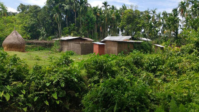 Houses in Rangagora village, which borders on Orang National Park. Women from this village collect minor forest products from the park. Photo: Bikash Kumar Bhattacharya.