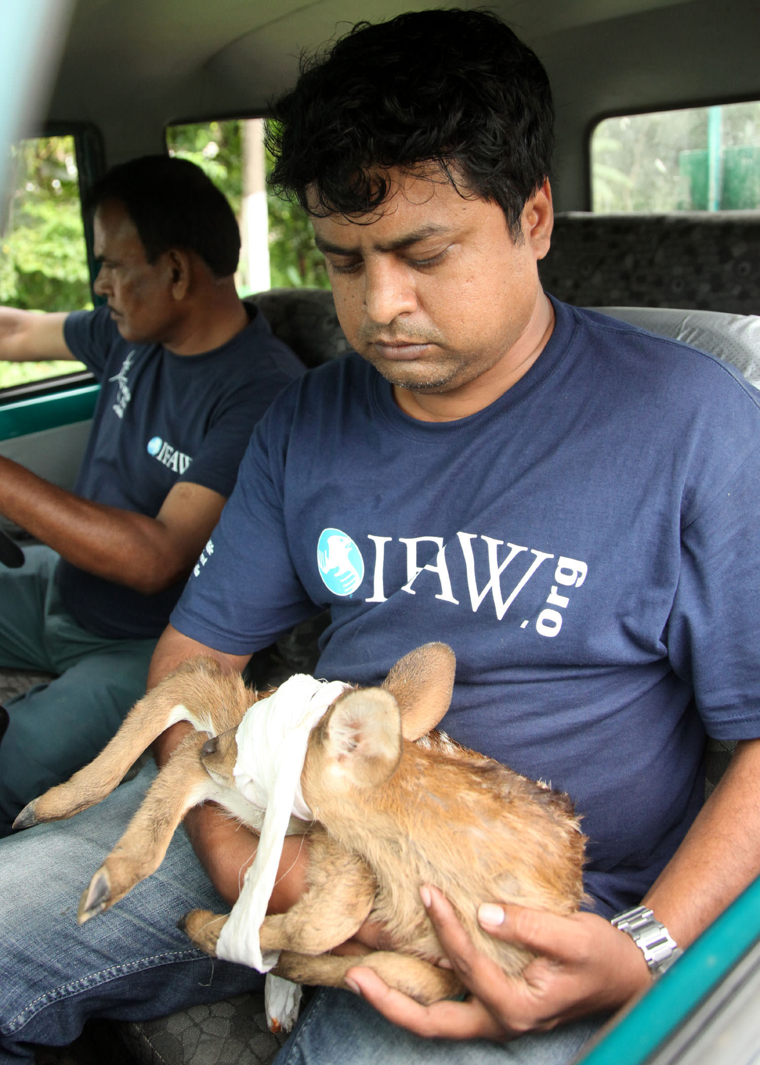 Veterinarian Samshul Ali, on a rescue mission during the floods. Photo: Subhamoy Bhattacharjee/IFAW-WTI