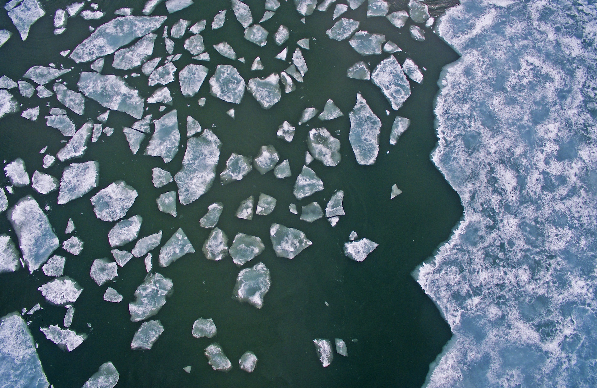 Even with a dry suit, thermals, and gloves to keep hypothermia at bay, divers cannot stay under the surface for longer than 40 minutes. “The impact of ice diving on the body is incredible,” Dhritiman says. “Swimming in these waters, I realise how ill-equipped my body is for this habitat.” In addition to the cold, the clarity isn’t great either, and ranges between two and ten metres.