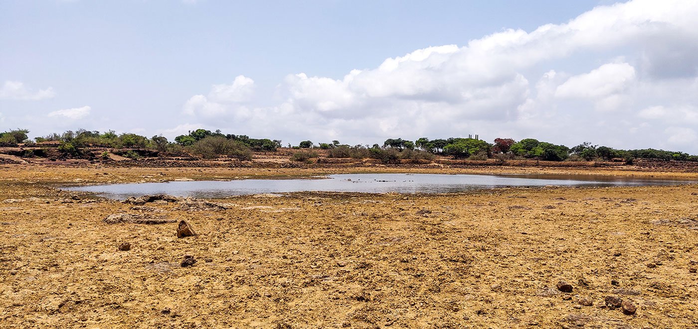 The shrinking Savrai Sada lake is one of the main sources of water for animals and birds in the sanctuary. Photo: Sanket Jain/PARI

