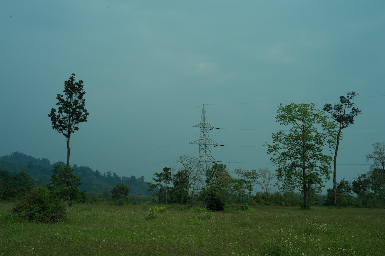The presence of live electric wires, such as these in the Mehea area, are a constant threat to hoolock gibbons. Photo: Prakash Bhuyan 