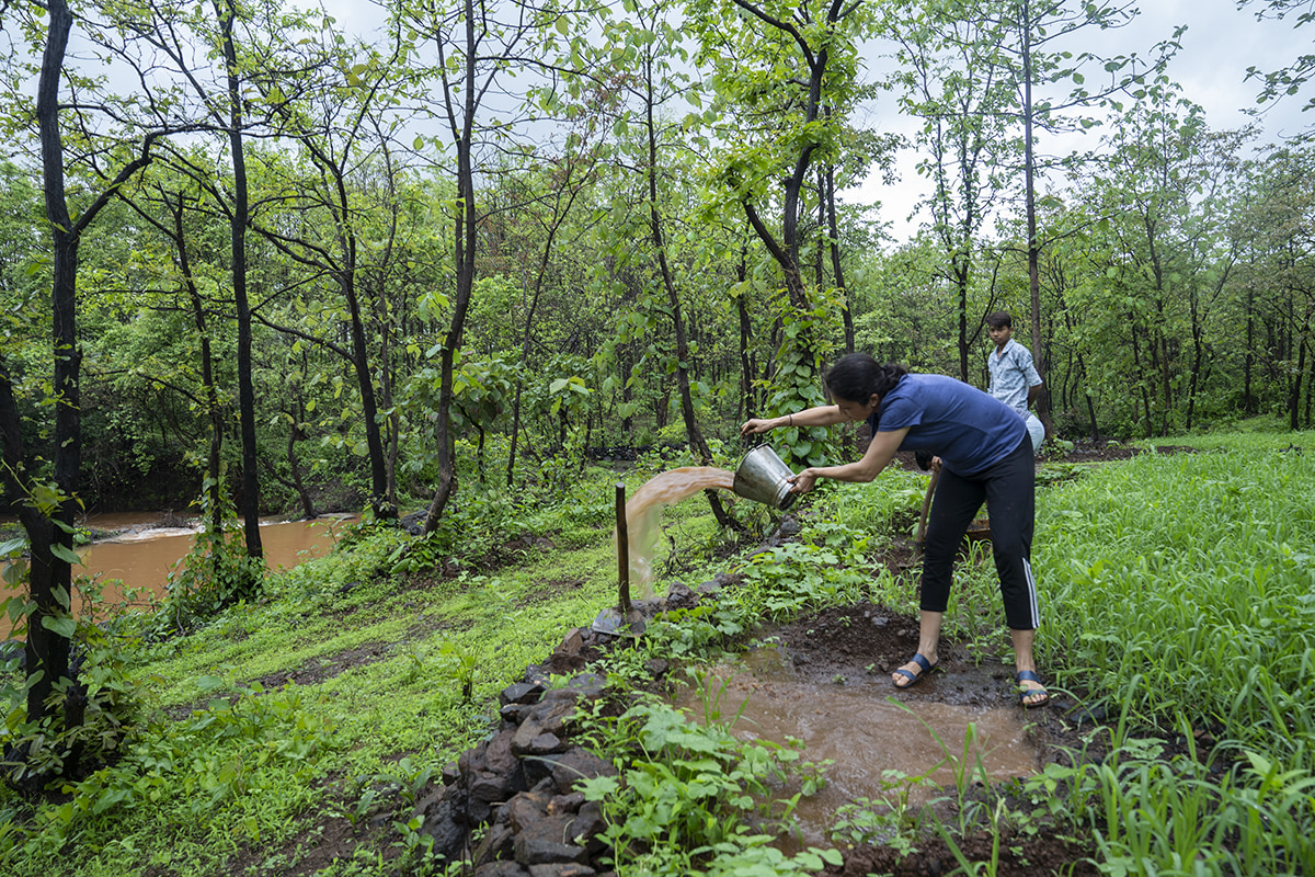 In 1994, a group of 24 nature lovers contributed and bought land in the outskirts of Mumbai for ecological conservation and regeneration. Vanvadi now organises occasional forest food walks and other nature-based events. Photo: Kartik Chadramouli/Mongabay.