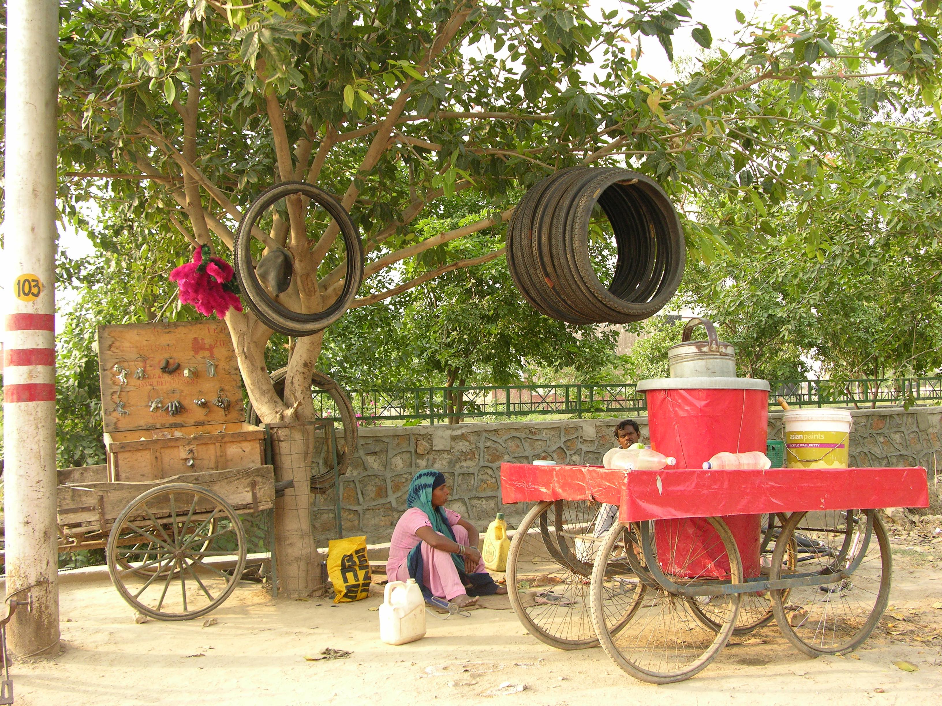 A low-branching tree is quite a find. Especially when it’s on the road. The trees in the park behind are the pampered ones. The one on the road has many responsibilities. Every available branch counts. 

