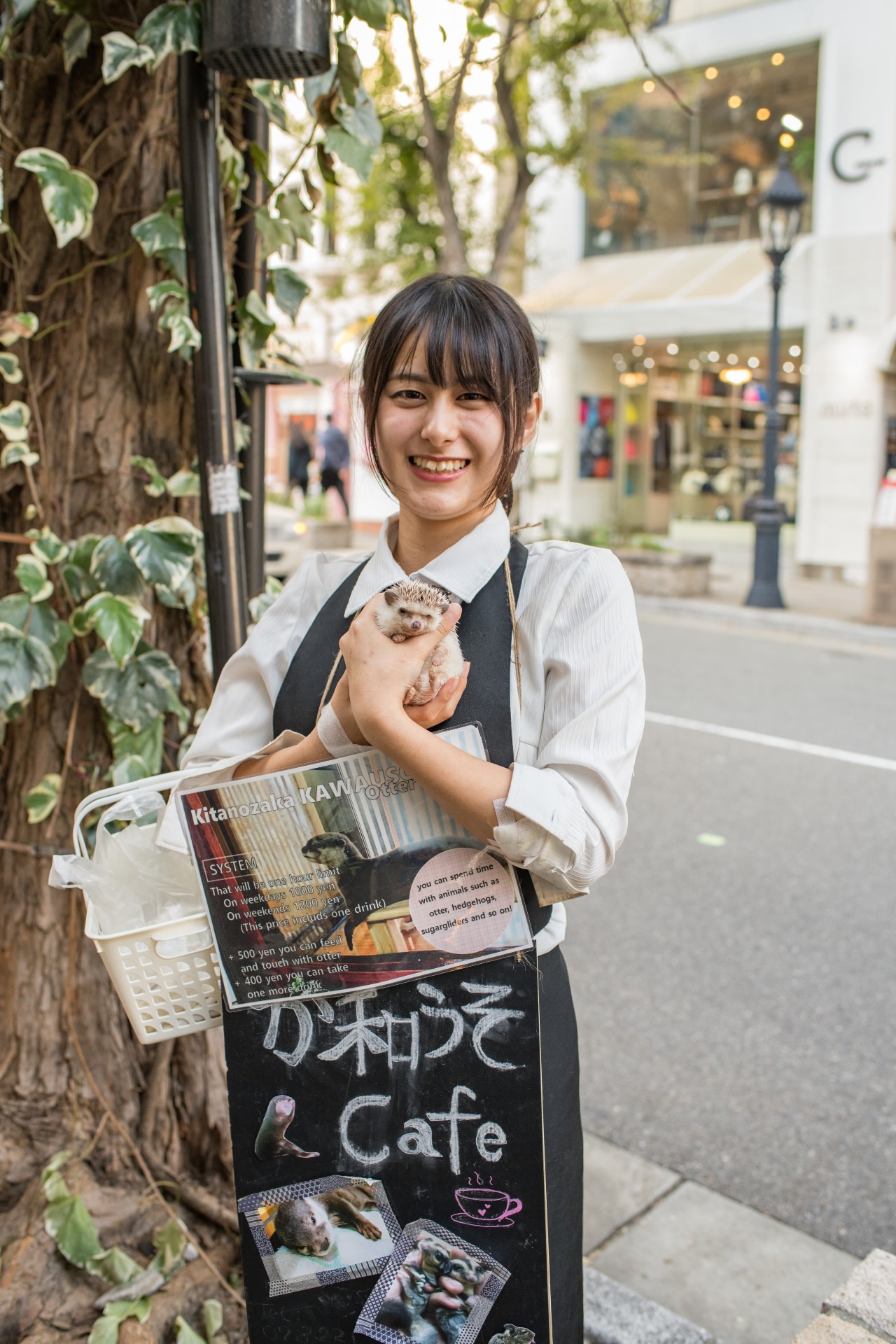A woman shows advertisements for an otter cafe in Kobe. Pups are captured from the wild to meet the demand of such cafes, which have mushroomed in Japan in the past few years. Photo: Michael Gordon/Shutterstock

