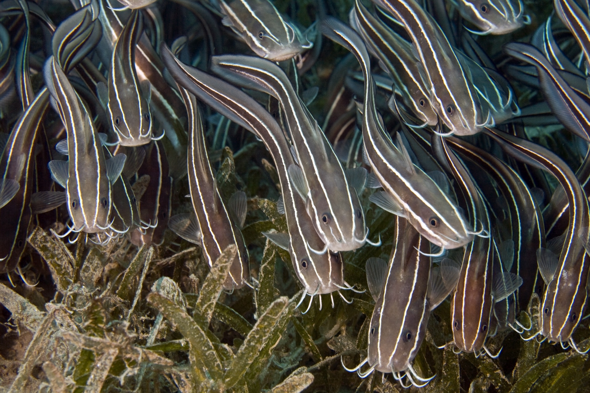 Photo: Stephan Kerkhofs/Shutterstock