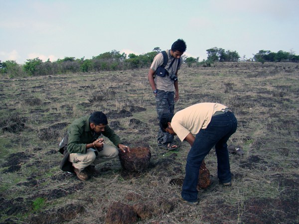 Herpetologist Nirmal Kulkarni (crouched on the left) spends much of his time finding new areas of biological interest and doing rapid diversity surveys. “We find areas where conservation is needed,” he says.  Nirmal is examining a saw-scaled viper under a rock in Goa’s Chorla Ghats. Saw-scaled vipers are small snakes, easy to miss, and quite temperamental. Under duress, they rub their scales together, creating a sound similar to a saw cutting wood. Photo: Nirmal Kulkarni  
