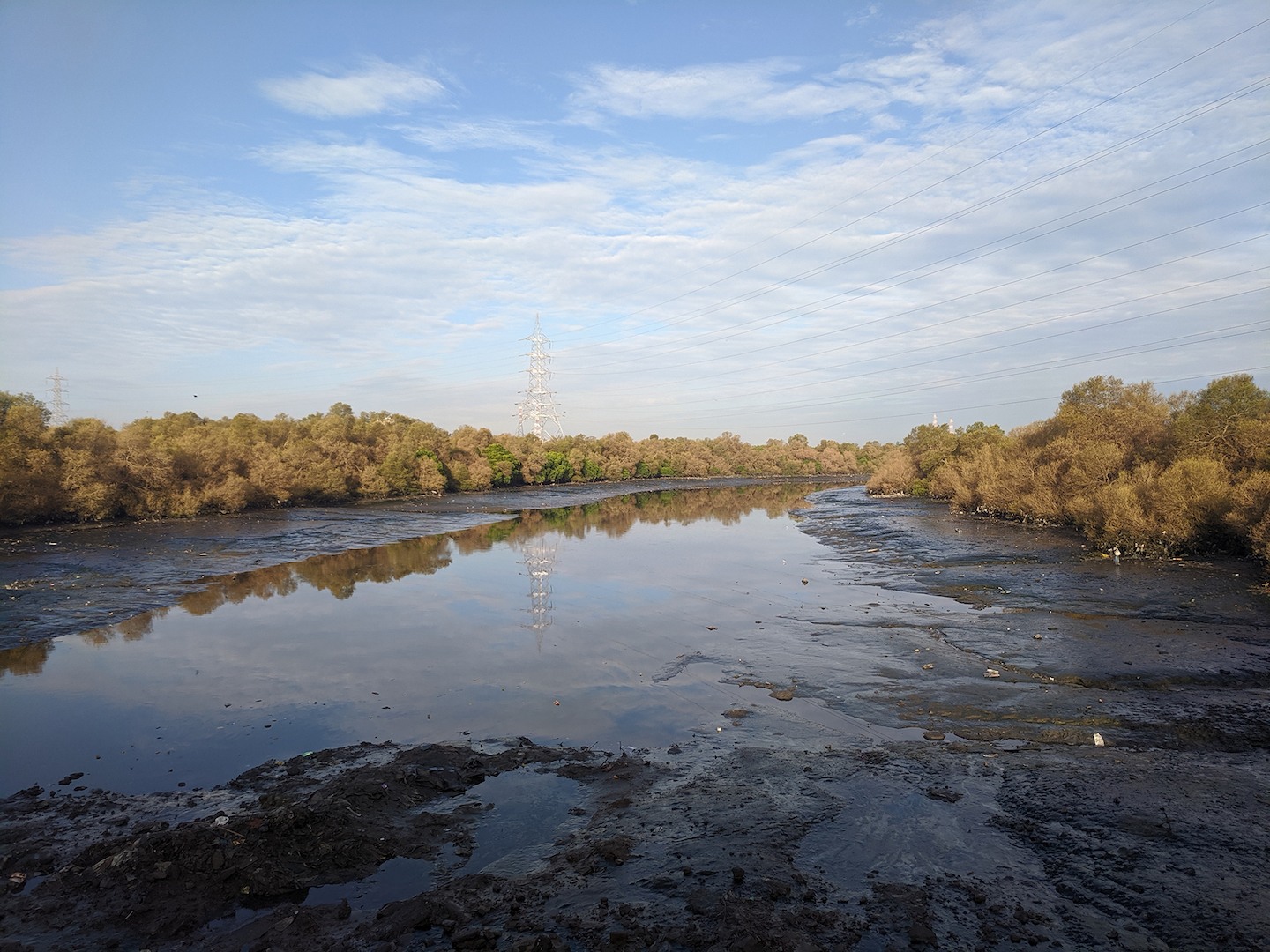 Mudflats are an important natural habitat of Mumbai’s coastline, attracting avian species including the famous flamingos that visit Mumbai every year.
