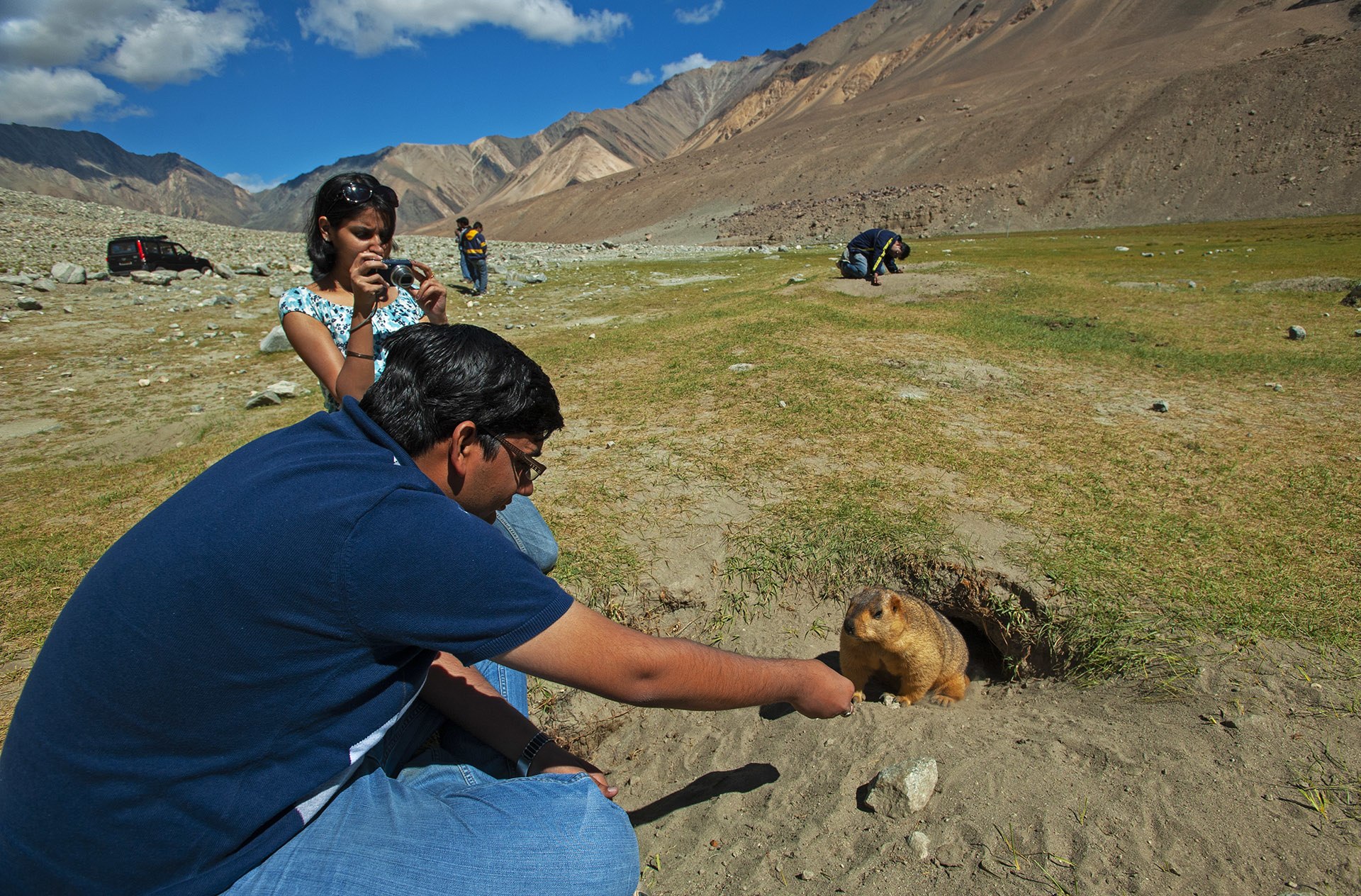 Feeding any wild animal is an unhealthy practice that all tourists must completely stop. Not only is it unhealthy for the marmot or other animal, it creates dependence, leads to increased road kill as animals seek out cars and other human habitation, and can lead to injury or the spread of disease. Photo: Dhritiman Mukherjee