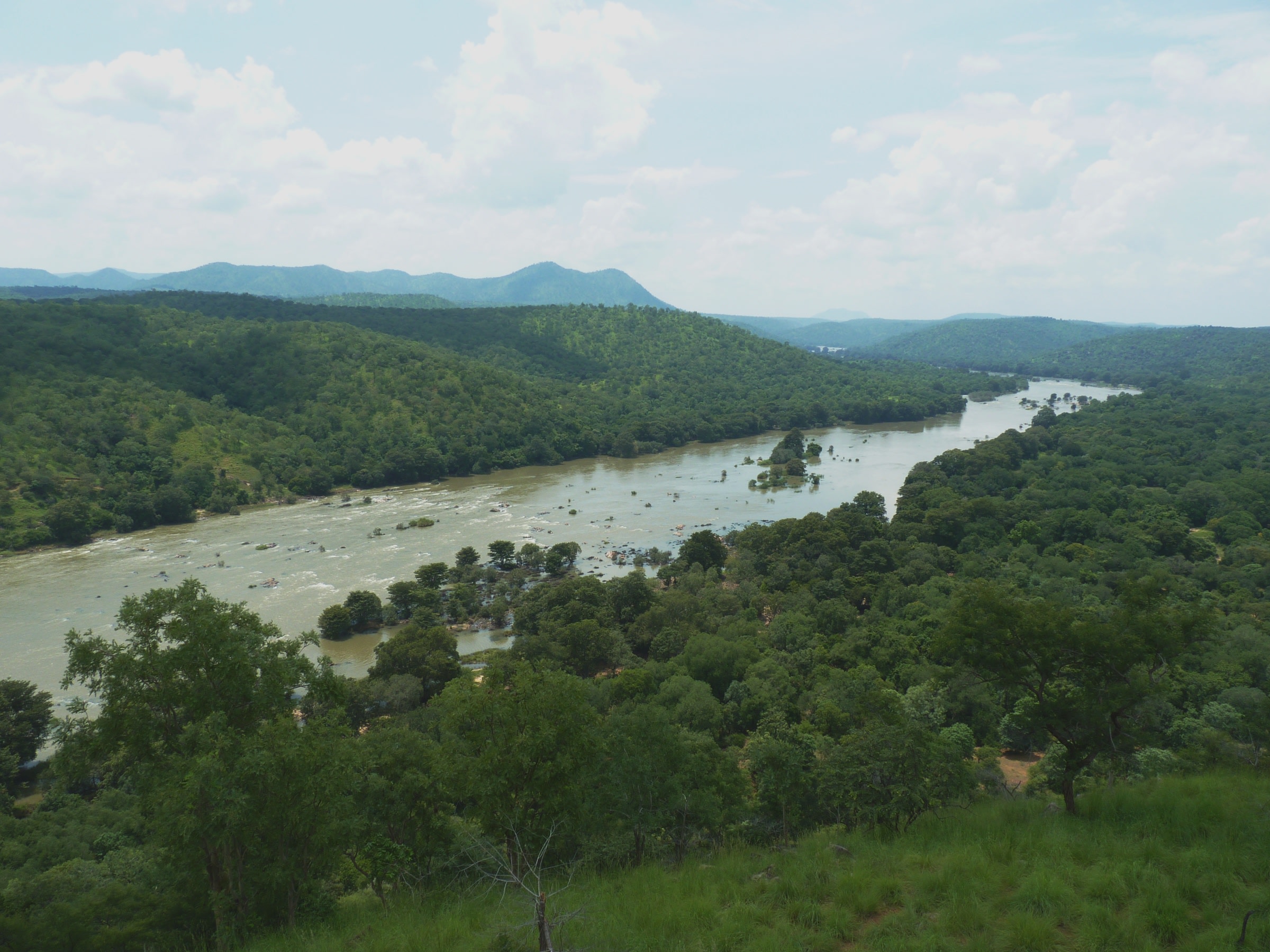 The 110-km stretch of the Cauvery in Cauvery Wildlife Sanctuary is truly alive and without much disturbance through much of the year. Here, otters live the way they must have for thousands of years unlike the river in the plains where they deal with enormous pressures from fishermen and sand miners in addition to diversion, dams and pollution. Photo: Chinmayisk- CC BY-SA 3.0