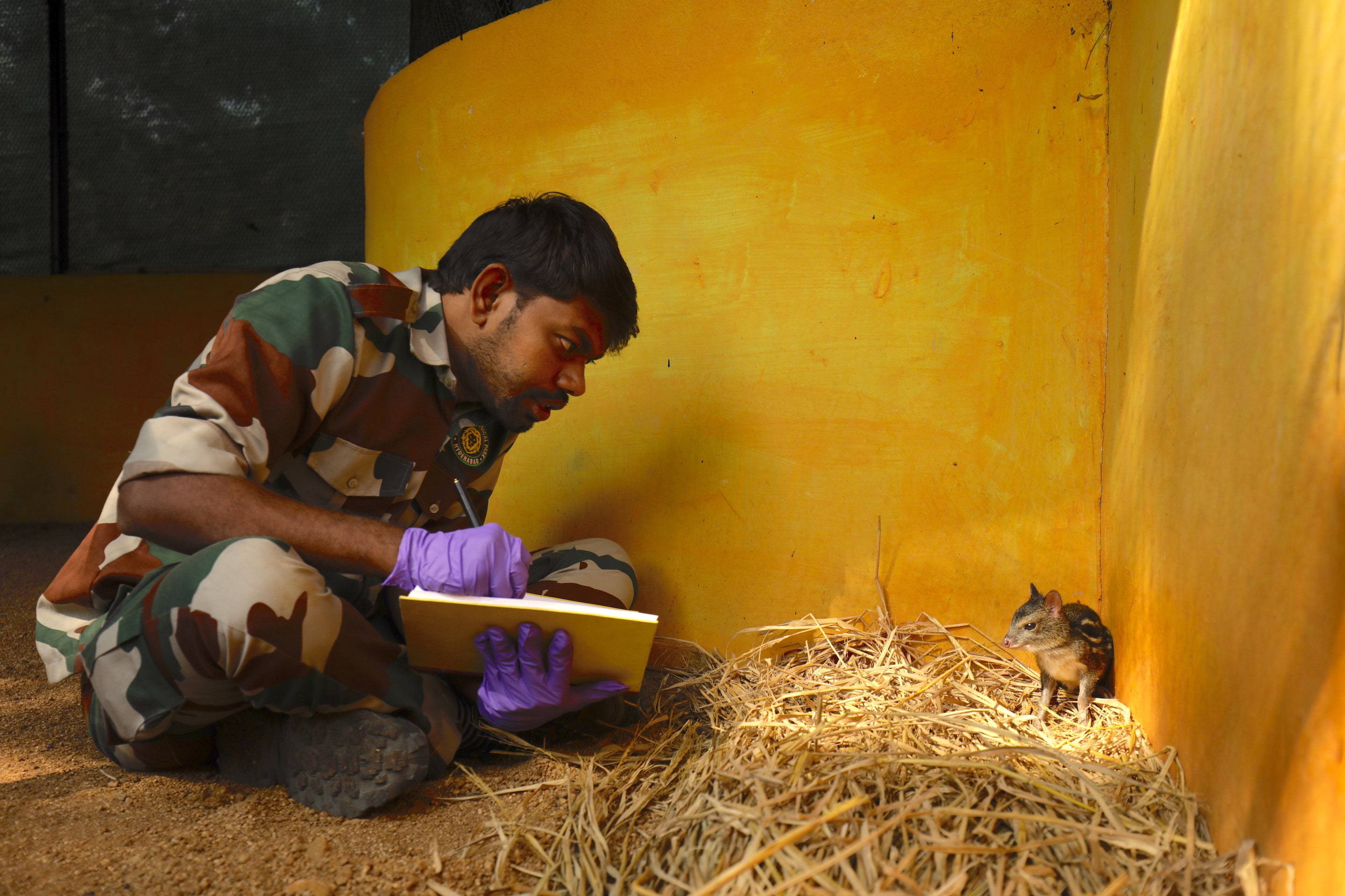 A park official collects data on the mouse deer at the Conservation Breeding Centre at Nehru Zoological Park, Hyderabad. Photo: VB Tajeshwar