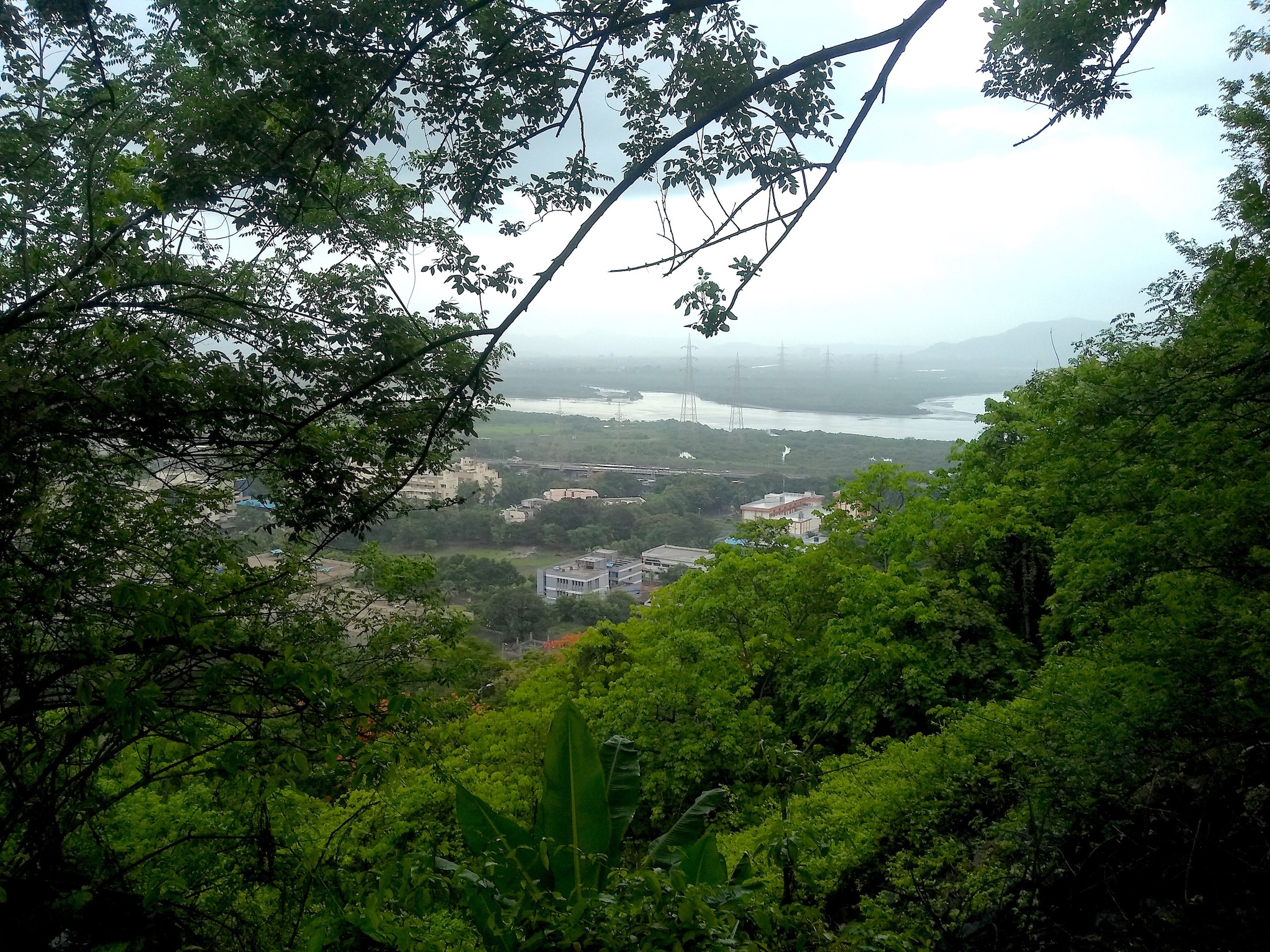 Kharghar Hills are Alive with the Sound of Birdsong RoundGlass Sustain