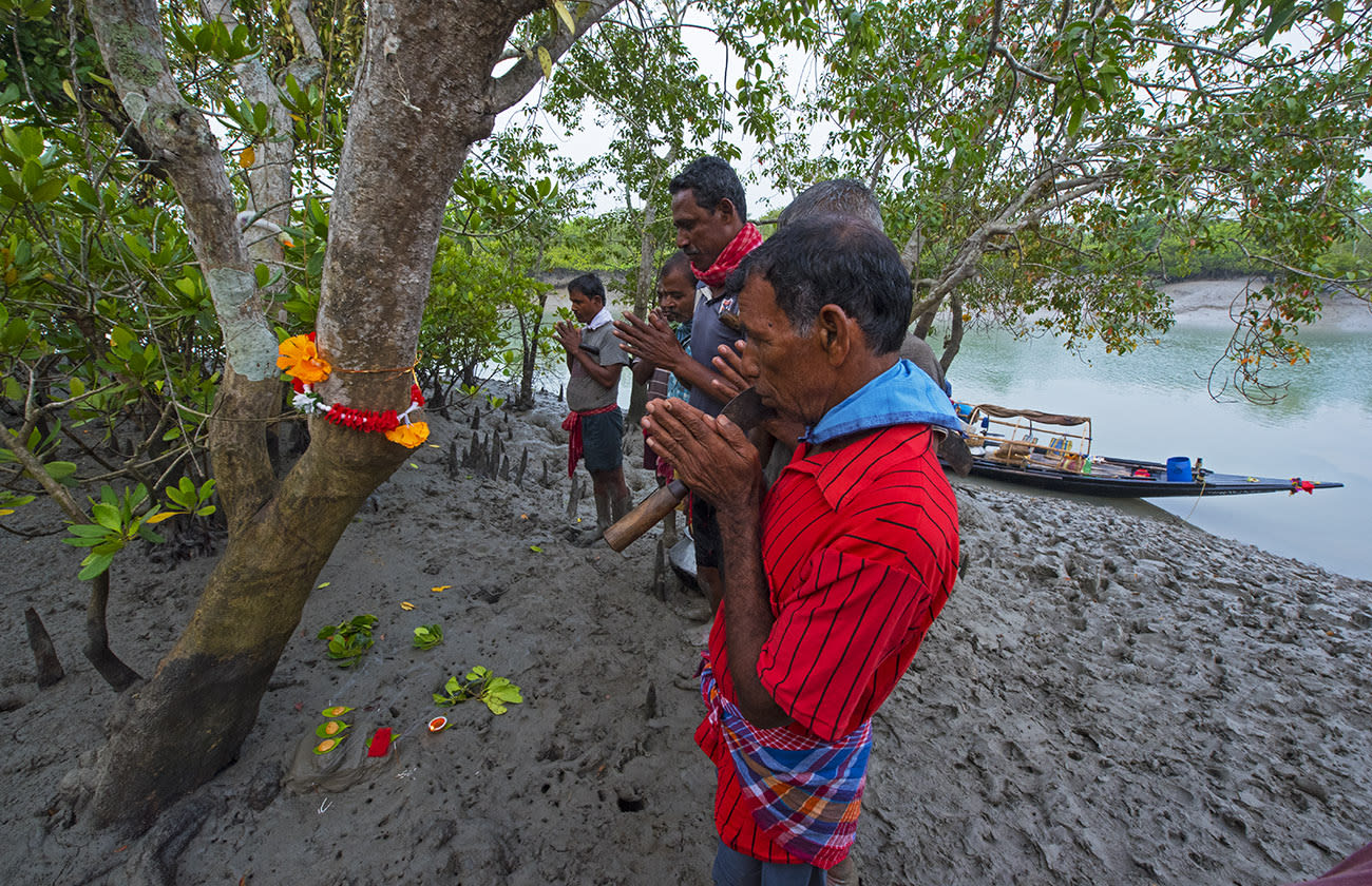 Honey collectors seek Bonbibi’s blessings before they embark on a collection trip through the Sundarbans. Many enter the forest on small dinghies and run the risk of being attacked by a tiger or a crocodile. Photo: Dhritiman Mukherjee