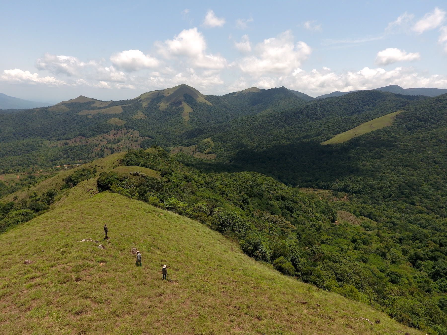 Trekking through the shola grasslands at Fringe Ford. Shola grasslands are evergreen grasslands on hillslopes along with the forests are considered the water towers or tanks of the Western Ghats feeding the plains. Photo courtesy: Fringe Ford  Cover: Some 520 acres of this former spice plantation have returned to being a rainforest. The colonial-era bungalow on the property is now a small homestay that focuses on conservation-centred tourism. Photo courtesy: Fringe Ford