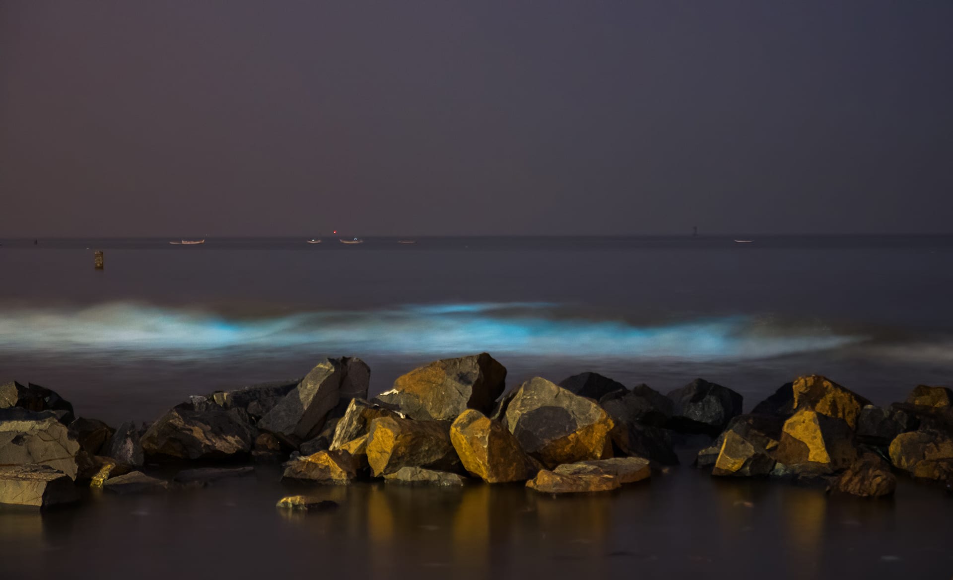 Juhu Beach: In November 2016, late at night, the waves at Mumbai’s Juhu Beach turned a glowing neon blue. The event, also called a “bloom”, is caused when marine microorganisms called phytoplankton gather in great numbers and glow. These phytoplankton are an intriguing variety called Noctiluca scintillans, commonly known as sea sparkle. The phenomenon is often seen on the pristine coasts of the country, but for India’s commercial capital, it was rare. “The phenomenon is seen almost every year along the western coastline of India,  but in Mumbai, it was only recorded in 2016,” says Naik.