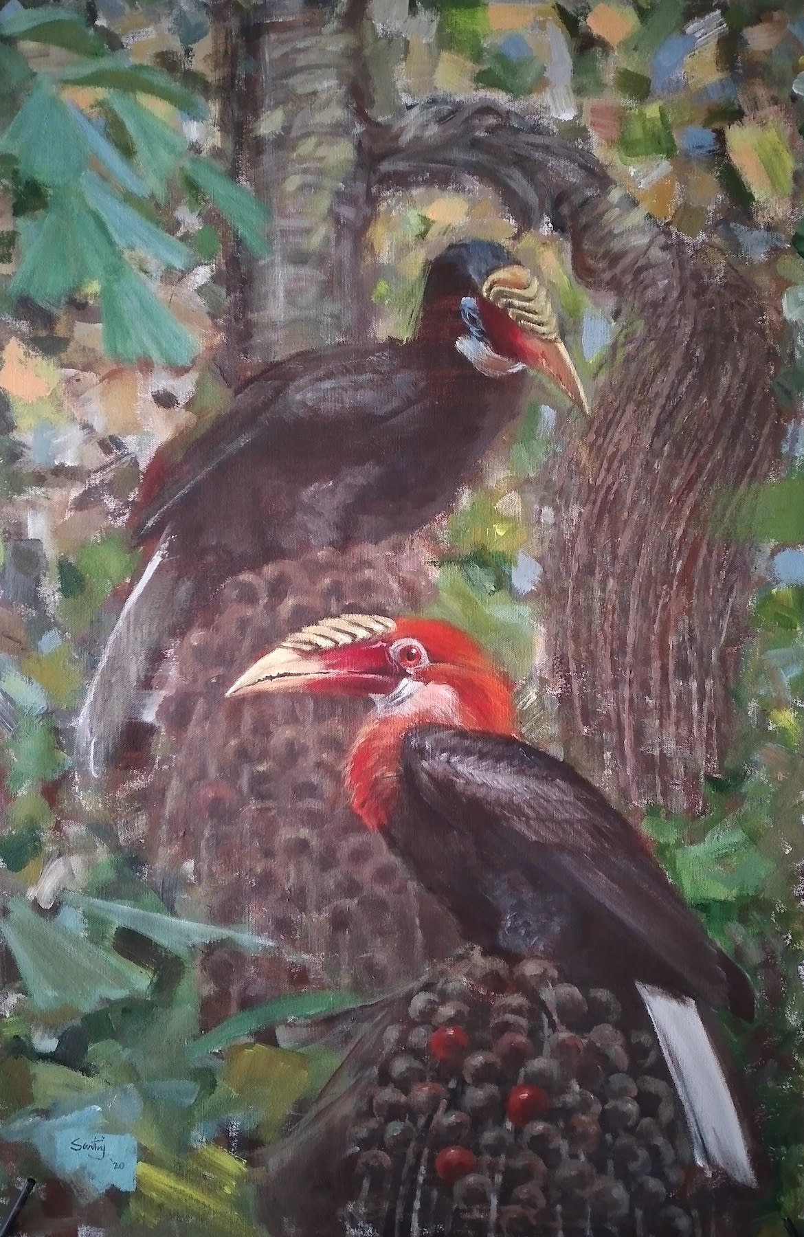 A Narcondam hornbill pair sitting on the fruits of the fishtail palm. 
Painting: Sartaj Ghuman 

