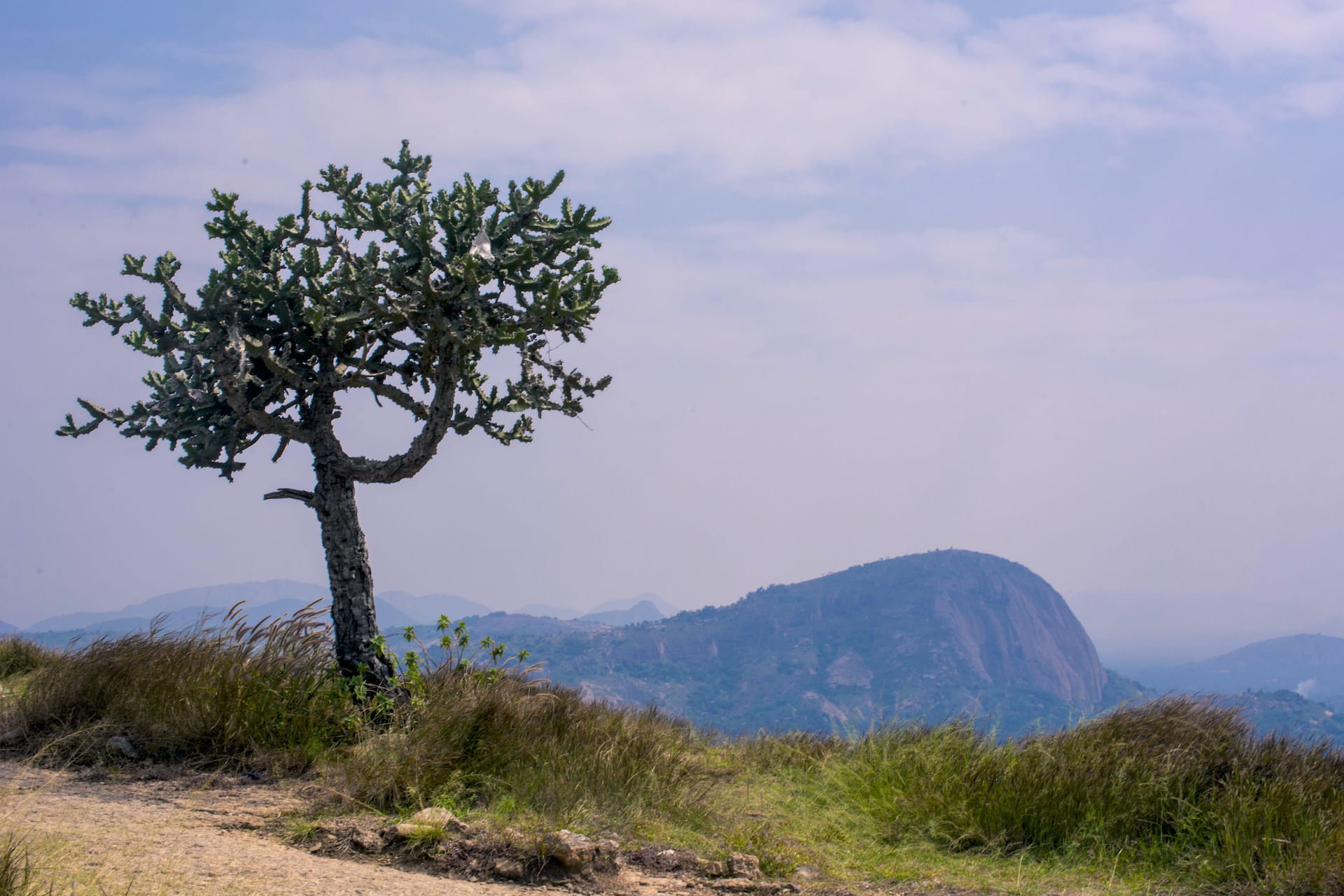 The hilltop of Ramadevarabetta in Ramanagara, about 50 km from Bangalore, offers panoramic views of the hills and rocky outcrops around. Photo: Samuel John  Cover photo:  From Ramagiri, a top-down view of the landscape, tree cover, and rocky hills around Ramanagara in Karnataka. Cover Photo: Mahantesh C Morabad/Shutterstock