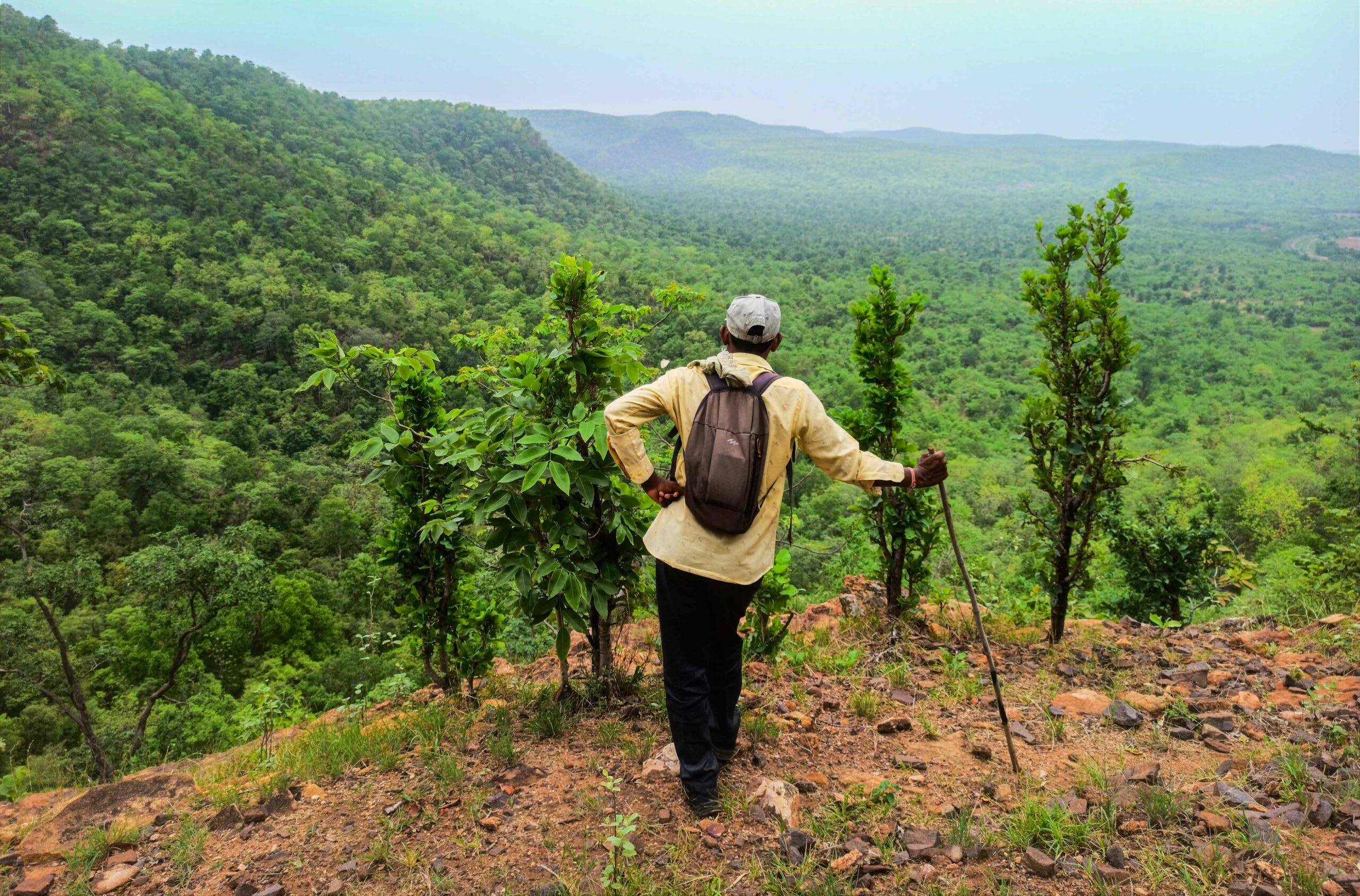 Shivaji Kutikela first joined WCS-India as a field assistant. Today, he leads and trains a team of young local men to identify snares and track tigers. Photo courtesy: Shivaji Kutikela