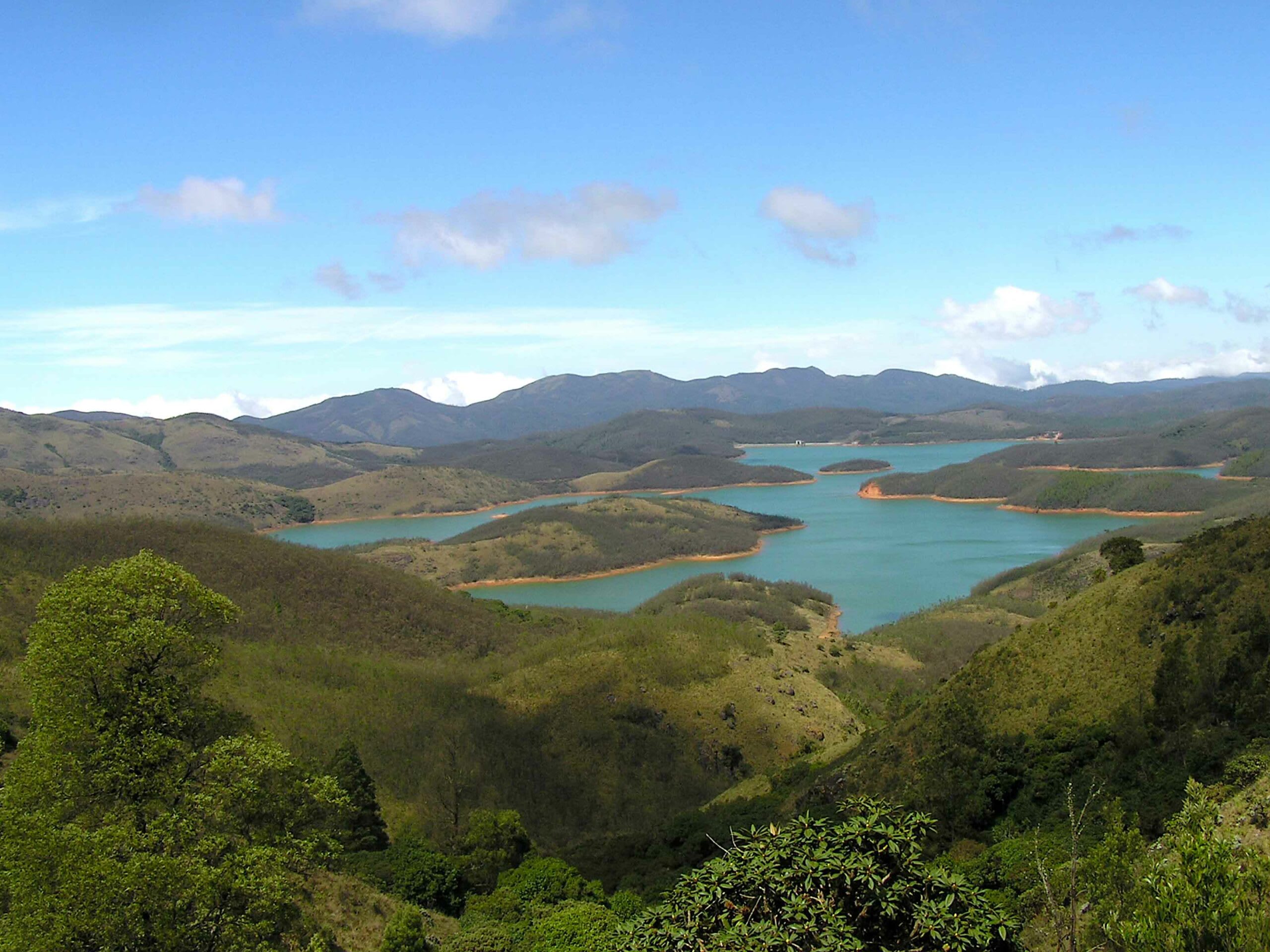 Exotic trees such as black wattle have now spread widely in many parts of the Nilgiris, such as in this area surrounding a reservoir in the Upper Nilgiris. Photo: Anand Osuri, CC BY-SA 4.0  The Upper Bhavani region, seen here from its northern end, located in the Nilgiris Biosphere Reserve Region of Tamil Nadu, serves as an important catchment area. Photo: Michael Varun, CC BY-SA 4.0