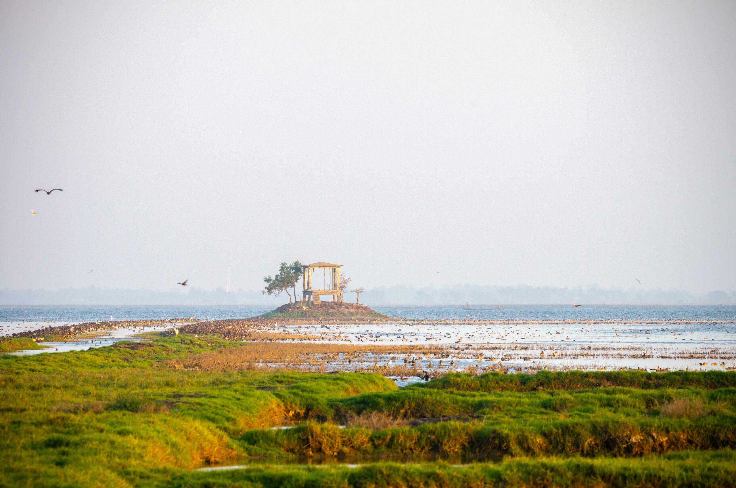 (Top) The forest department patrols the island by boat along crisscrossing canals. (Above) The island is entirely submerged every monsoon, with only the tops of watchtowers visible over the water. 