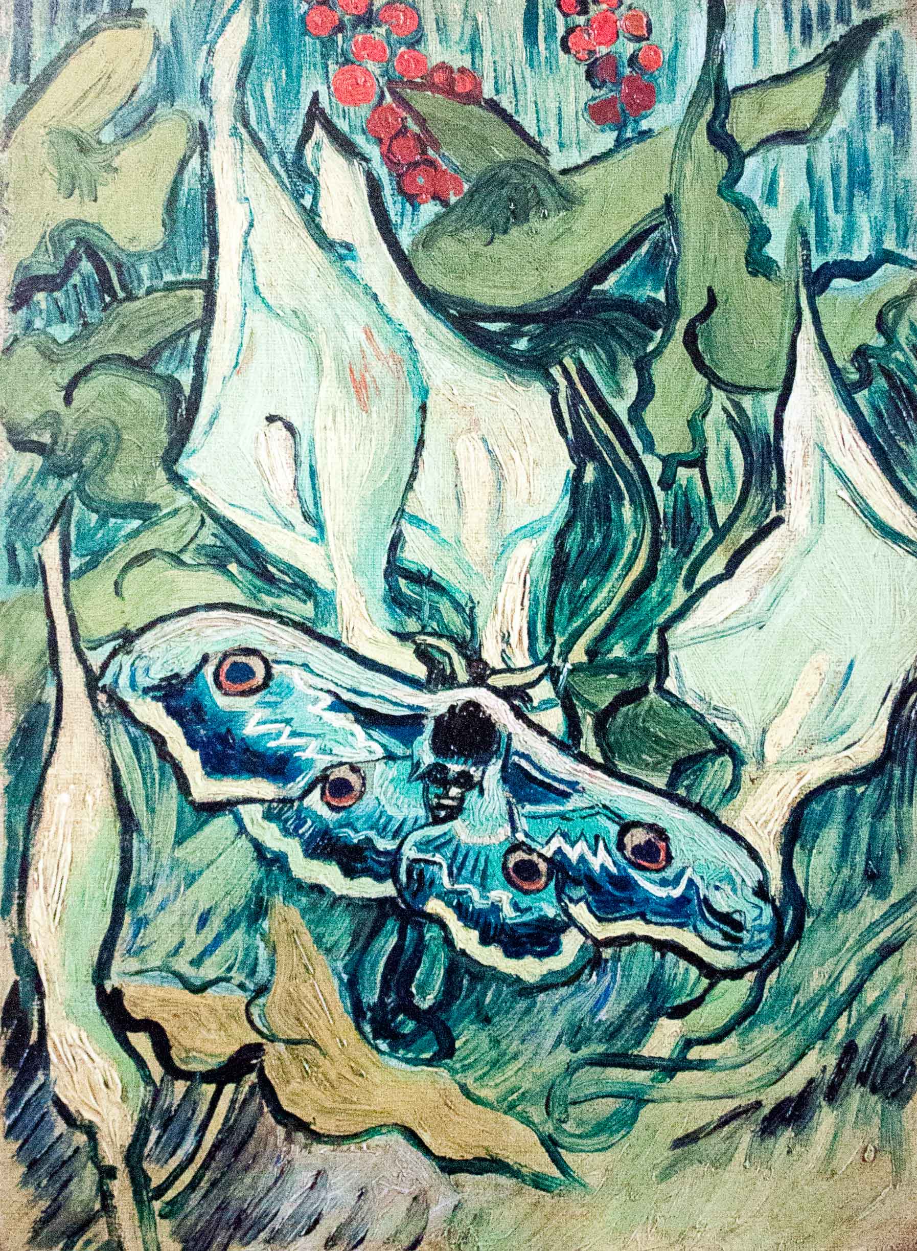 The “Great Peacock Moth” by Vincent van Gogh is part of a series of paintings made between 1889 and 1890. It is currently displayed at the Van Gogh Museum, Amsterdam, Netherlands. The painter was inspired by the idea of metamorphosis that he believed symbolised people’s capacity for transformation. Photo: Szilas, Public domain, via Wikimedia Commons