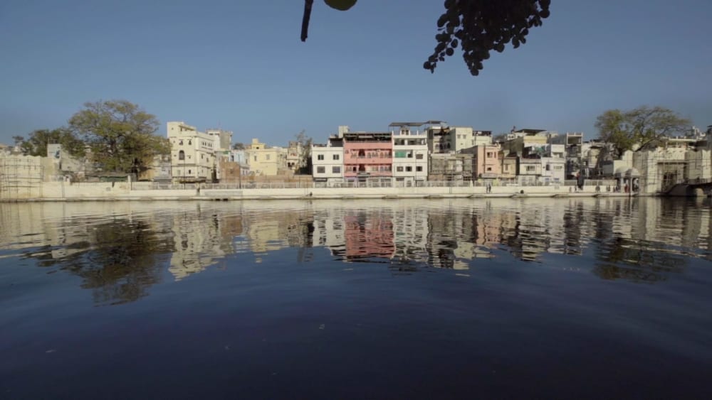 City of Lakes at Risk: Why Udaipur’s Wetlands Need Your Attention