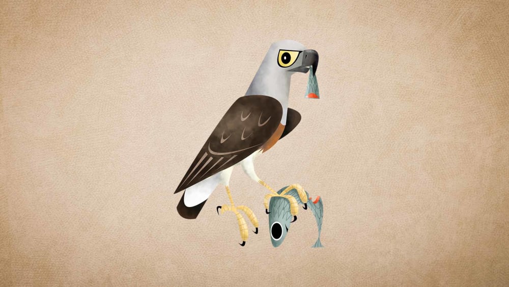 Grey-headed Fish Eagle: Facts, Habitat, Threats