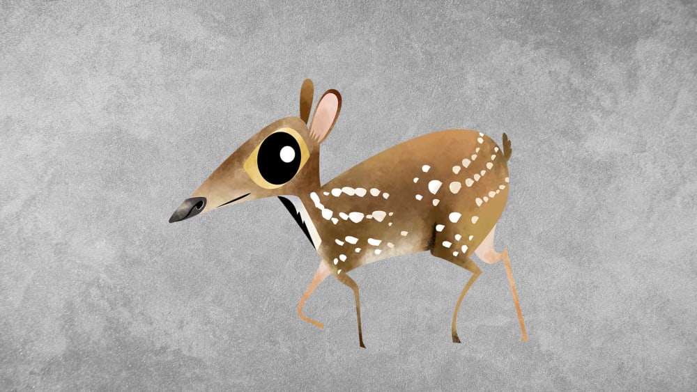 Indian Spotted Chevrotain: Facts, Diet, and Habitat of the Mouse Deer
