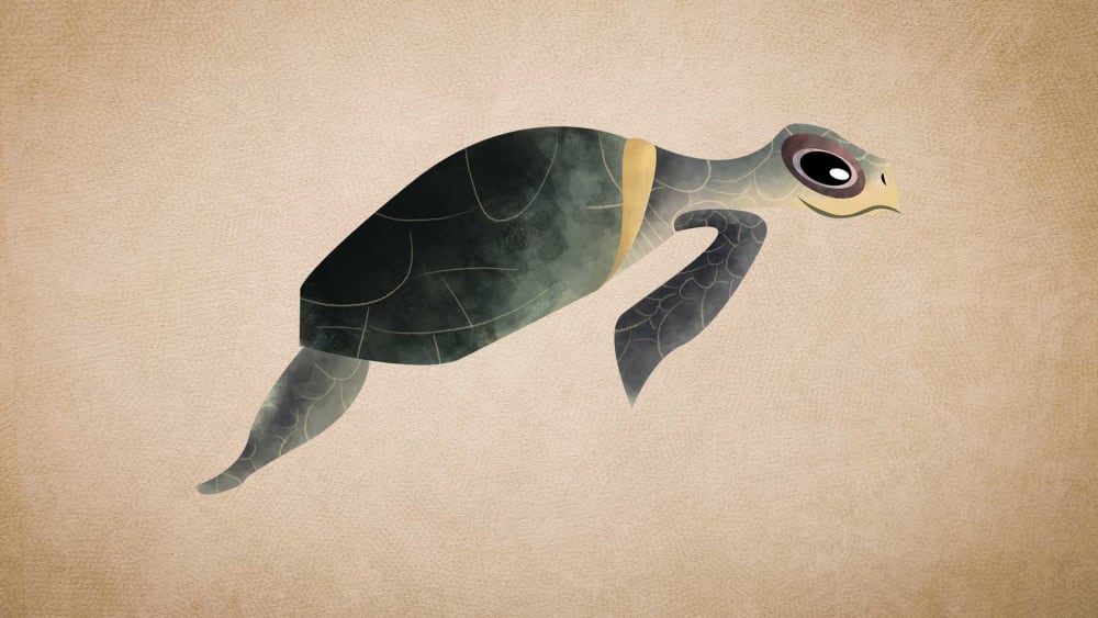 Olive Ridley Turtle: Facts, Diet, and Nesting