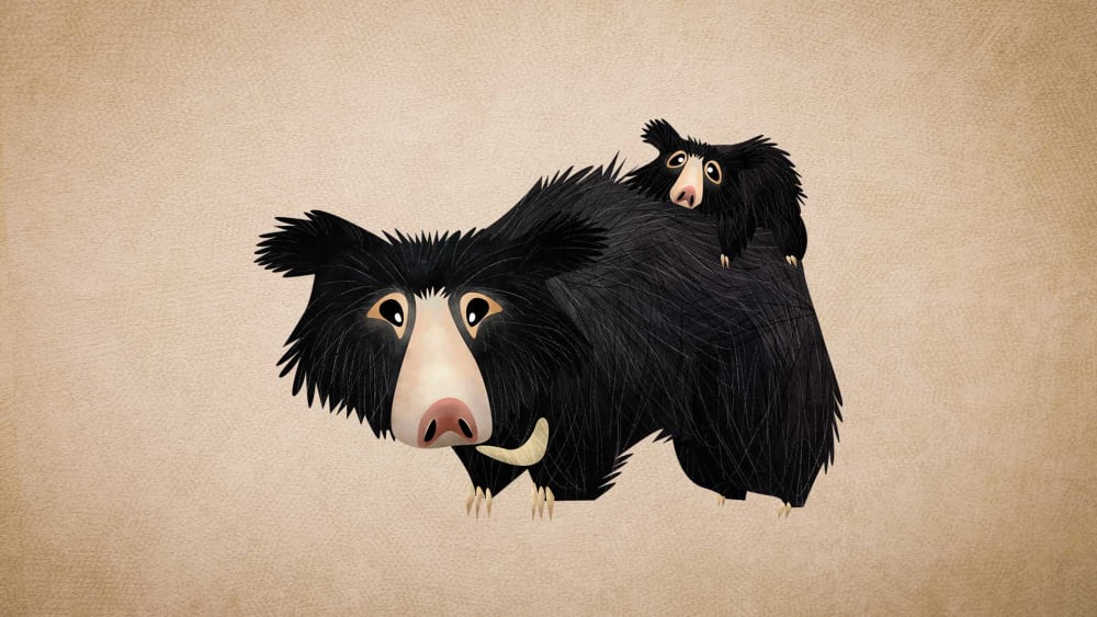 Sloth Bear: Size, Habitat, and Use as Dancing Bears