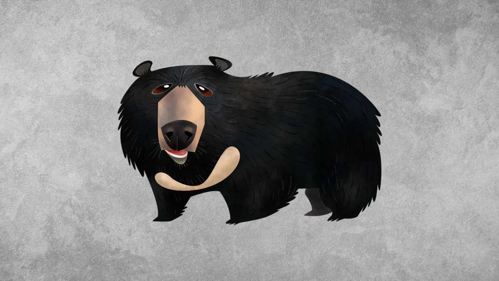 Asiatic Black Bear: Facts, Weight, Habitat and Population