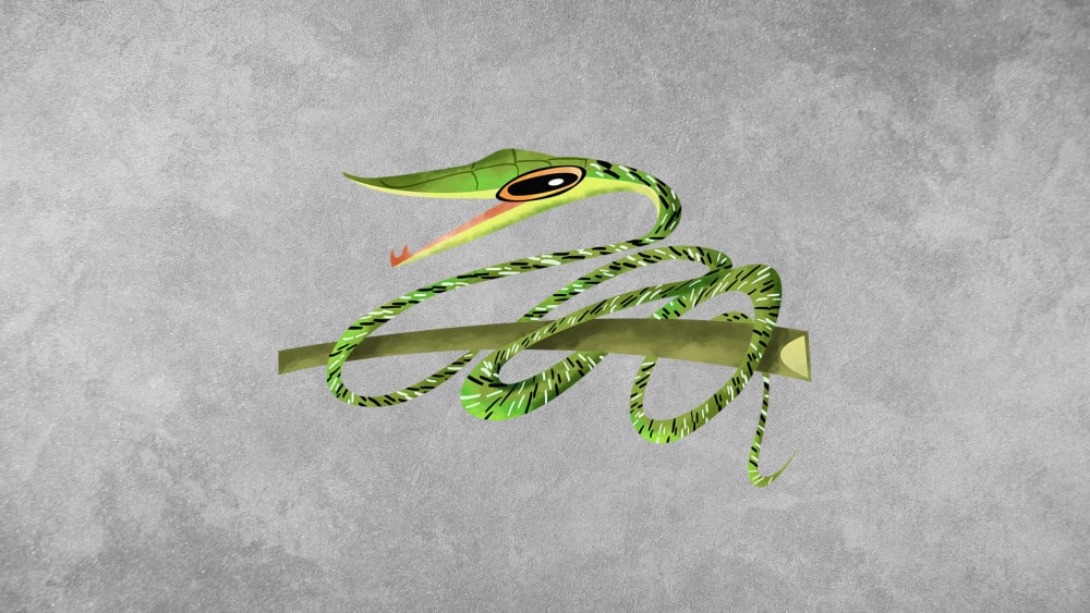 Vine Snakes: Facts, Habitat, Threats