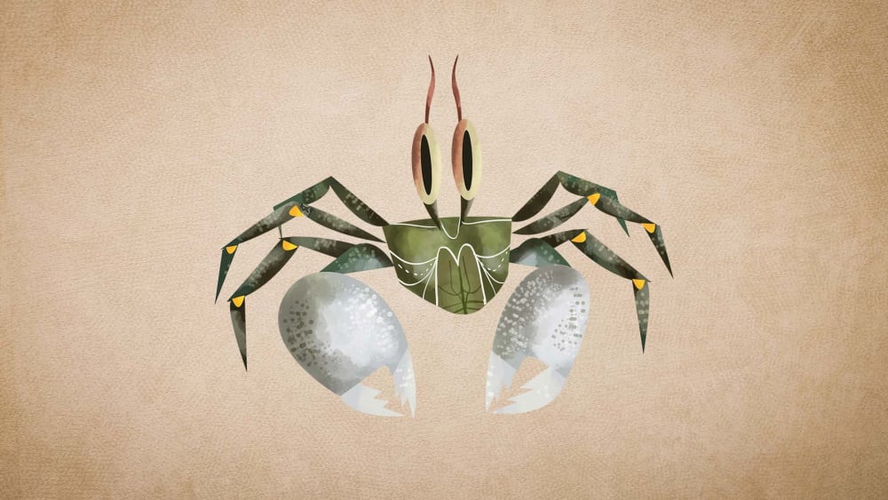 Ghost Crab: Facts, Diet, Habitat