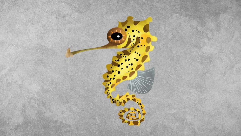 Seahorses: Facts, Diet, Threats