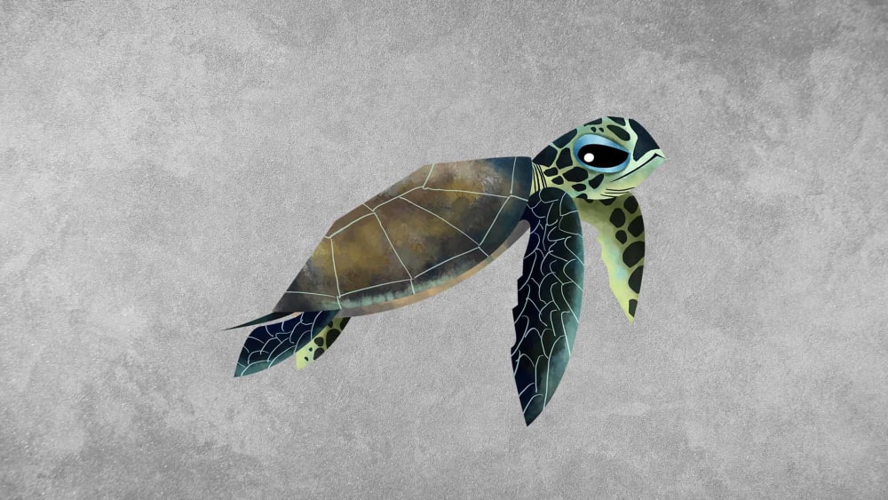 Green Sea Turtle: Facts, Habitat, Ocean Life