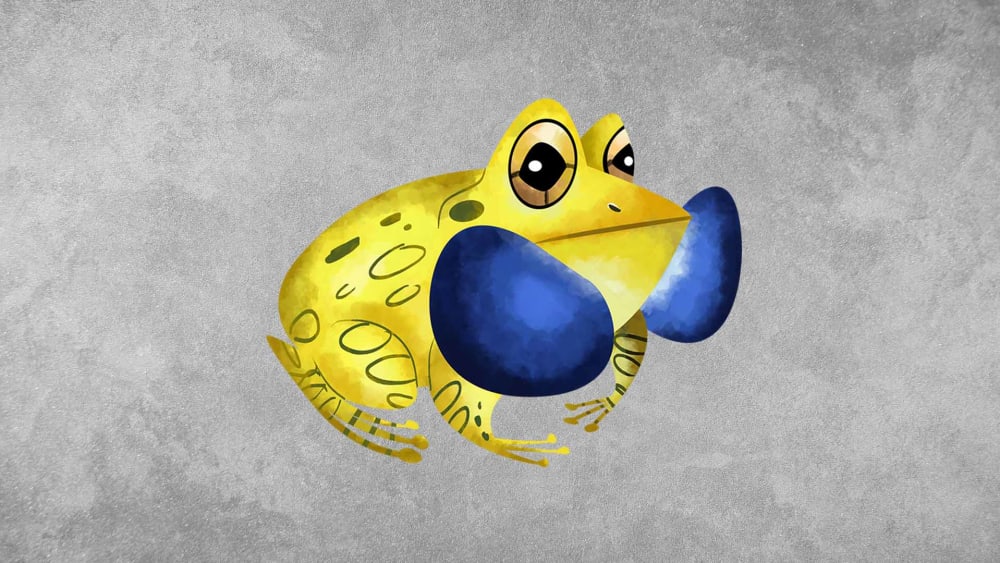 Indian Bull Frog: Facts, Size, Habitat
