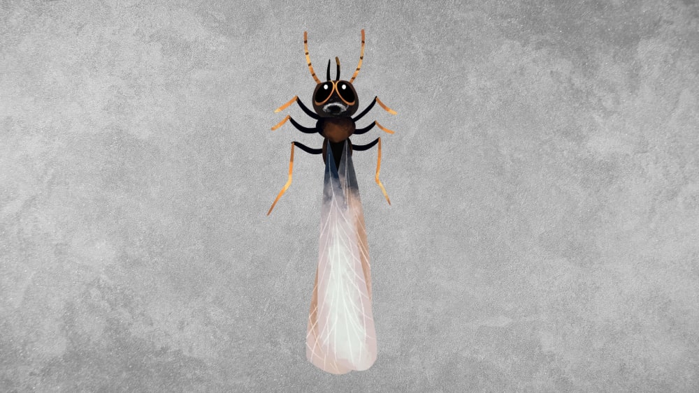 Termites: Facts, Colonies, Mounds
