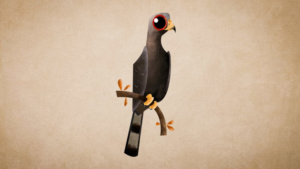 Oriental Honey Buzzard: Facts, Diet, Habitat