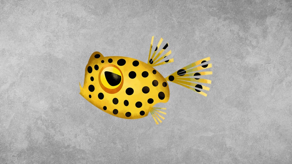 Boxfish: Facts, Diet, Habitat