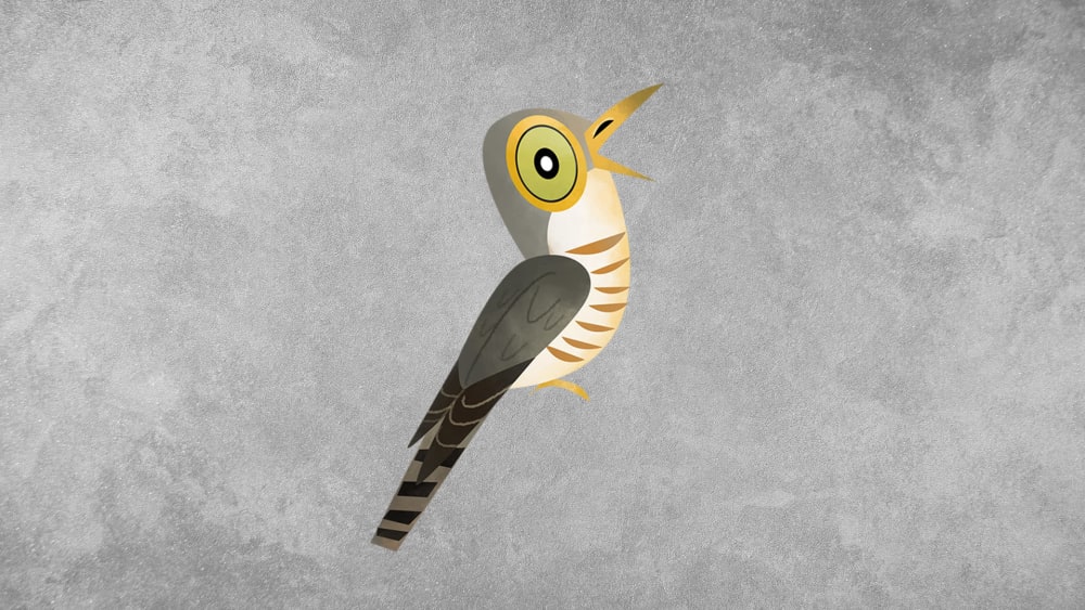 Common Hawk-cuckoo: Facts, Nesting, Calls