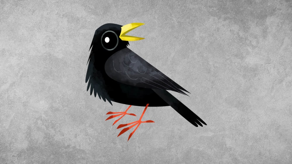 Yellow-billed Chough: Facts, Range, Diet