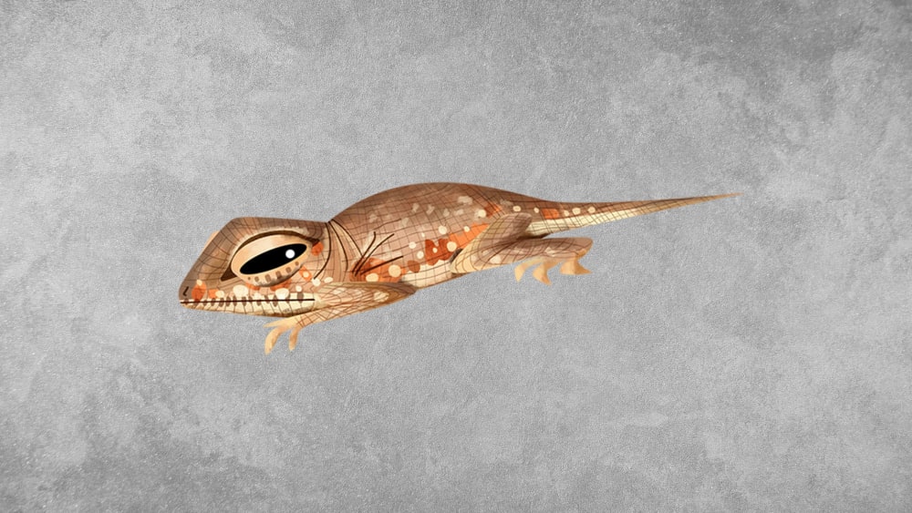 Laungwala Toad-headed Agama: Facts, Habitat, Threats