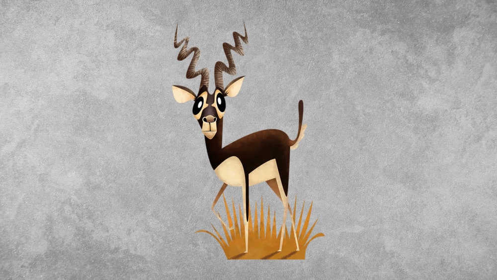 Blackbuck: Facts, Size, Habitat