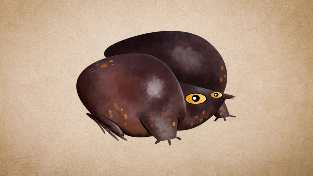 Purple Frog: Facts, Discovery, Habitat