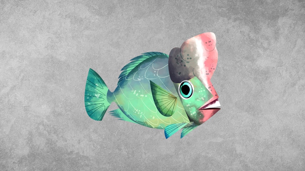 Parrotfish: Facts, Habits, Threats