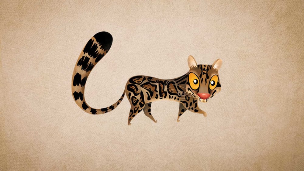 Marbled Cat: Facts, Adaptations, Habitat