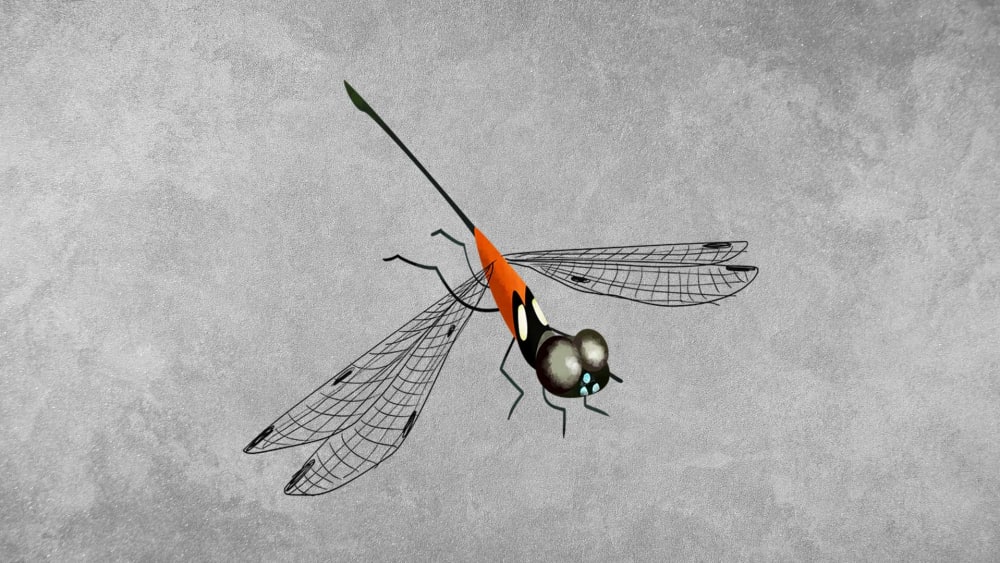 Ruby-tailed Hawklet: Facts, Diet, Habitat