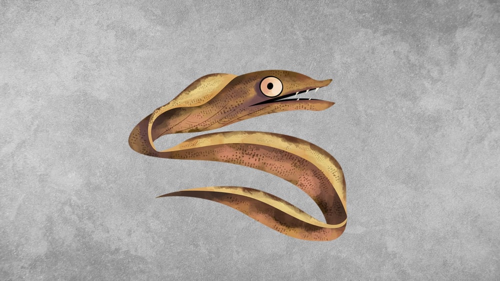 Moray Eels: Facts, Size, Habitat, Hunting Strategies