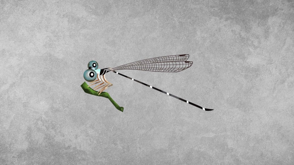 Blue-necked Reedtail: Facts, Habitat, Lifecycle